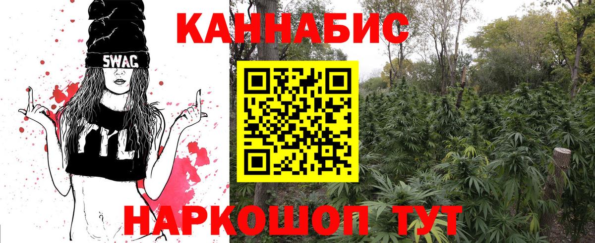 Каннабис план Анапа